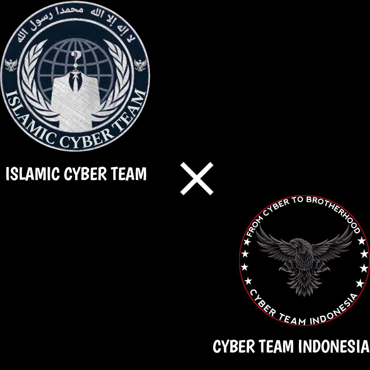 Cyber Operations Alliance [C.O.A] announces new team – The Cyber Shafarat
